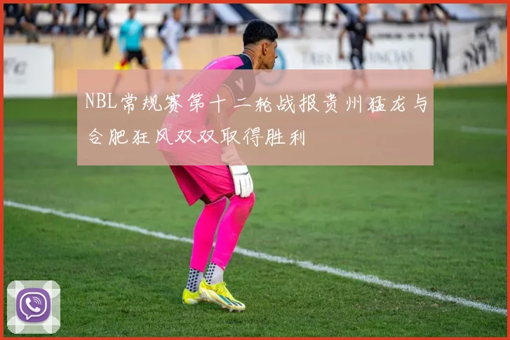 NBL常规赛第十二轮战报贵州猛龙与合肥狂风双双取得胜利