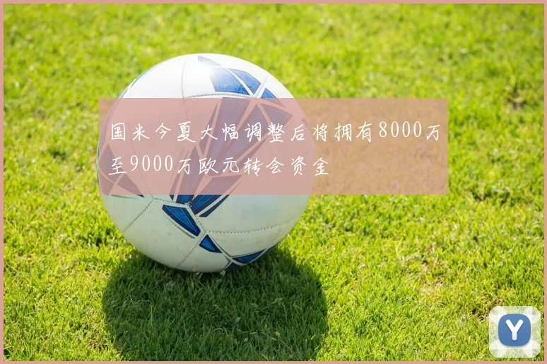 国米今夏大幅调整后将拥有8000万至9000万欧元转会资金
